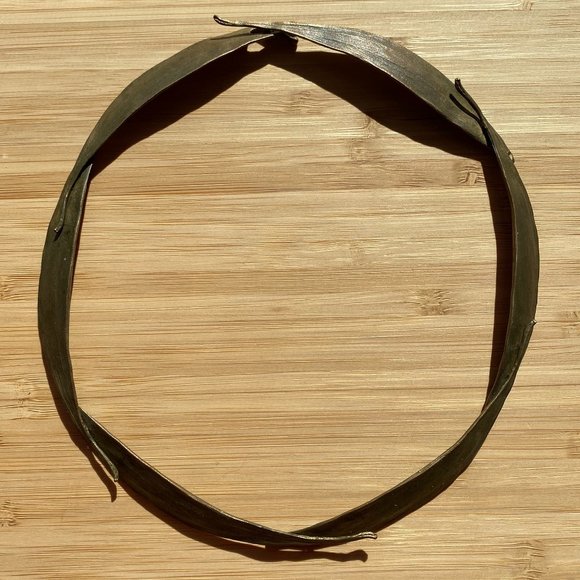 Michael Michaud Eucalyptus Collar - Picture 2 of 5